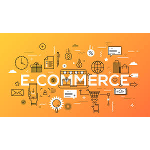 Large eCommerce Pro